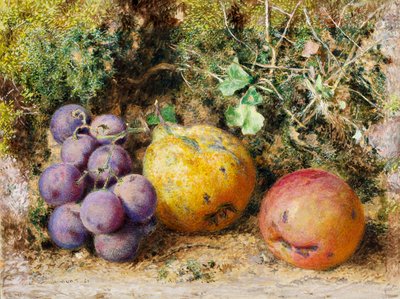 Black Grapes，Quince和Newtown Pippin，1861年（卡片上的wc） 作者 威廉·亨利·亨特