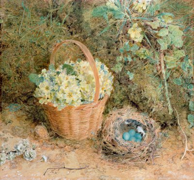Chaffinch&39;s Nest with Primroses（wc und gouache on paper） 作者 威廉·亨利·亨特