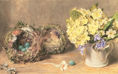 春花鸟巢，c.1830（纸本水彩画和彩绘） 作者 威廉·亨利·亨特