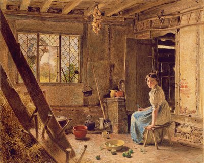 女仆和喜鹊，1834年在贝德福德郡希灵顿的小屋内部（白色纸上突出显示） 作者 威廉·亨利·亨特