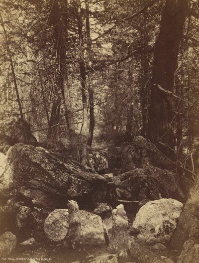 西加拉廷卡宁小径，c。 1870年代。 作者 威廉·亨利·杰克逊