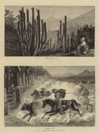在Chilian Rodeo，III 作者 威廉·亨利·詹姆斯船