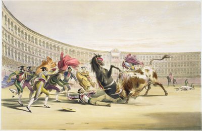 1865年在危险中的Picador 作者 威廉·亨利·莱克·普莱斯