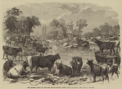 巴黎Bois de Boulogne的角主持人 作者 William Henry Prior