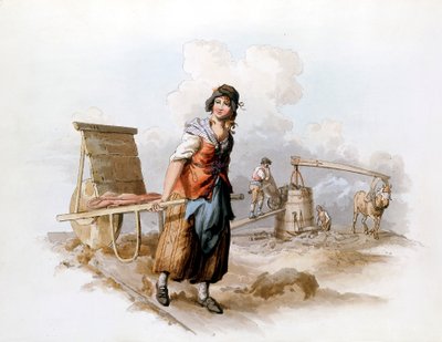 布里克菲尔德，1808年 作者 威廉·亨利·佩恩