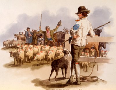 Smithfield Drover，来自“英国的服饰”，1808年 作者 威廉·亨利·佩恩
