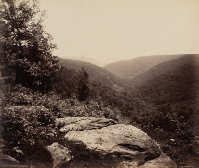 悬崖景观，阿勒格尼山顶，约 1895 年（照片1895 年（照片） 作者 威廉·赫尔曼·劳