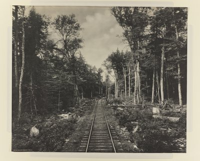 LVRR加纳加湖分公司，c.1899年（白金打印） 作者 威廉·赫尔曼·劳