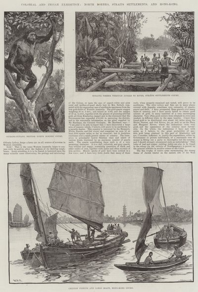 殖民地和印度展览，北婆罗洲，海峡殖民地和香港 作者 William Heysham Overend