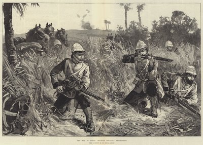埃及战争，步兵小冲突 作者 威廉·海沙姆·奥弗兰德