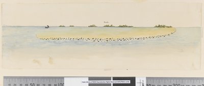 Page 25b/b Profile of unidentified Pacific Island showing a lagoon 作者 威廉·霍奇斯