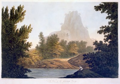 1788年的丛林景观（aquatint） 作者 威廉·霍奇斯