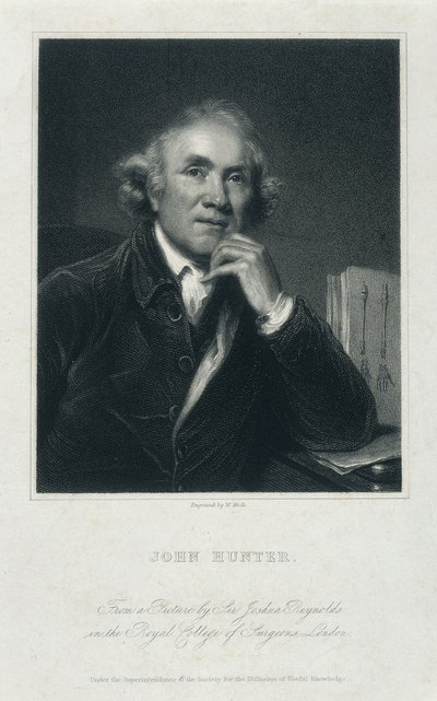约翰·亨特（John Hunter），FRS，c1850-c1870 作者 威廉·霍尔