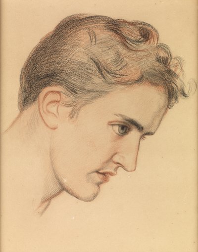 欧仁妮·塞勒斯（Eugenie Sellers），“沙洛特夫人”研究，约1895年（纸上彩色粉笔） 作者 威廉·霍尔曼·亨特
