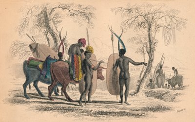 Caffrarian家庭旅行，大约在1830年代。 作者 威廉家蜥蜴队