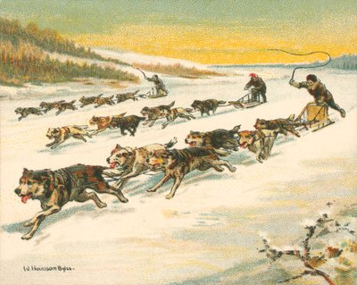 历史上和现代的比赛，加拿大犬只比赛（chromolitho）。 作者 威廉·洪索姆·拜尔斯