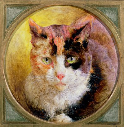 1866年龟甲猫的头部研究 作者 威廉·哈金斯