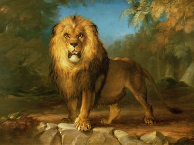 狮子，1840年 作者 William Huggins