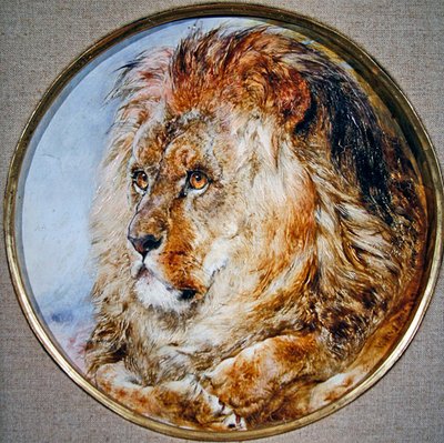 狮子的画像 作者 威廉·哈金斯