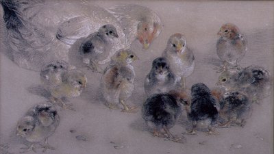 对鸡的研究 作者 威廉·哈金斯