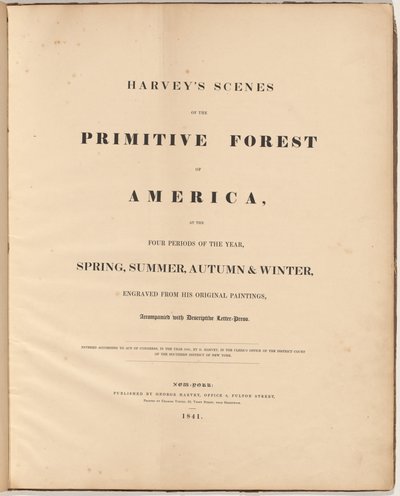 哈维的《原始森林的风景》（Scenes of the Primitive Forest）。 作者 威廉·詹姆斯·贝内特（William James Bennett），模仿乔治·哈维