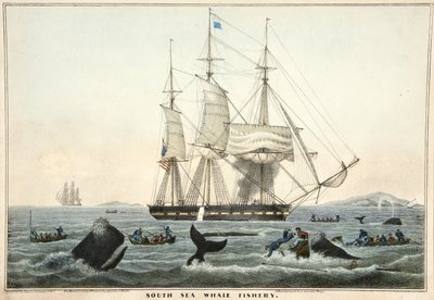 南海鲸鱼渔场，酒吧。 1825年（彩色ithograph） 作者 威廉·约翰·哈金斯