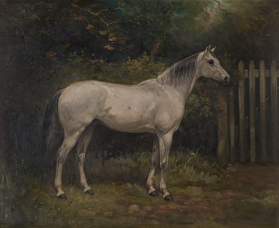 泡菜：一匹巴苏托小马，约 1904 年（布面油画） 作者 威廉·乔赛亚·雷德沃斯