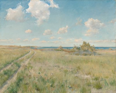 通往大海的老路c。 1893年。 作者 威廉·梅里特·蔡斯
