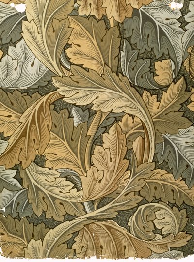 Acanthus壁纸，由William Morris（1834-96）设计，1875年 作者 威廉·莫里斯