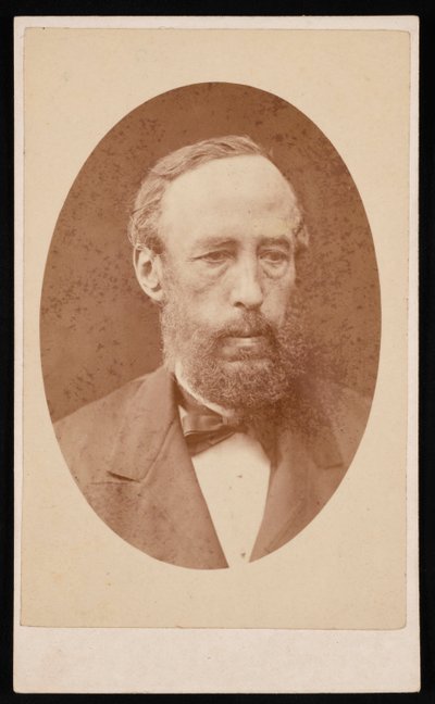 詹姆斯-克罗尔的肖像，1821-1890年，1876年之前。 作者 威廉·尼尔森
