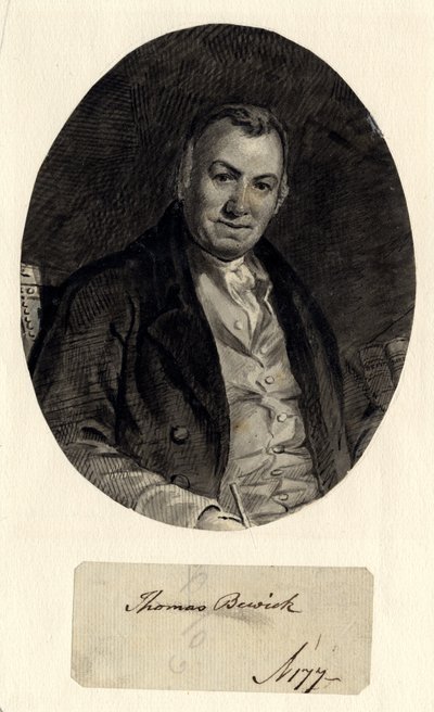 Thomas Bewick的肖像（墨水在纸上（粘贴在纸上）） 作者 威廉·尼科尔森