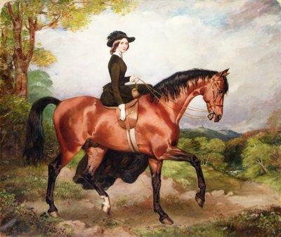 基尔代尔郡 Castletown 的托马斯-科诺利夫人肖像（布面油画） 作者 威廉·奥斯本