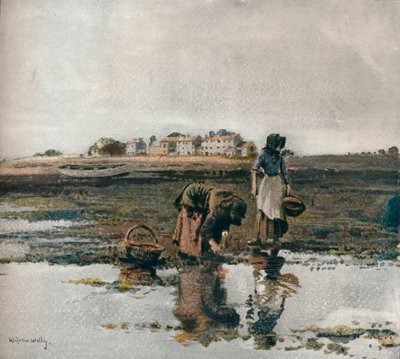 贻贝采摘，c1908 作者 威廉·佩奇·阿特金森·威尔斯