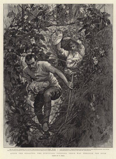 在灾难发生后，幸存者们穿越布什 作者 William Small
