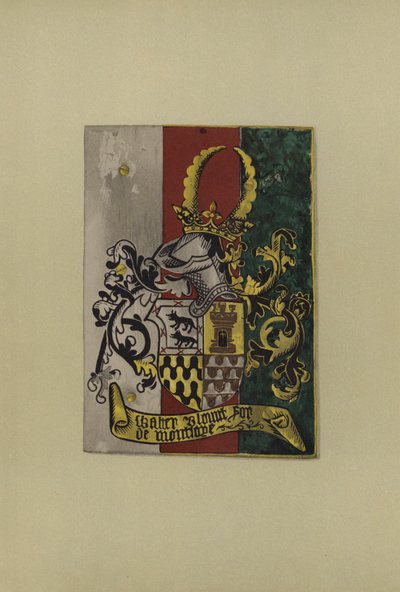 沃尔特布朗特爵士，主人Mountjoy，1472-1474（chromolitho） 作者 威廉·圣约翰·霍普