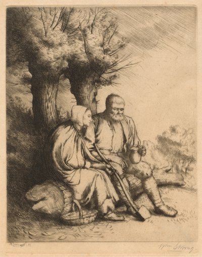 Wood夫，1881年。 作者 威廉·斯特兰德