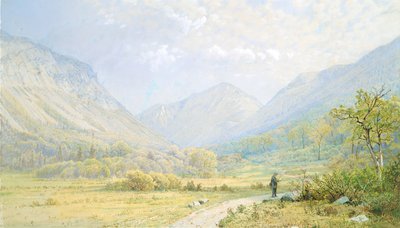 Franconia Notch，新罕布什尔州，1872年。 作者 威廉·特罗斯特·理查兹