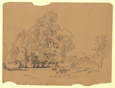 瑞士因特拉肯风景区 作者 威廉·特罗斯特·理查兹