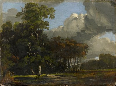 林地景观，约1816-1820 作者 约瑟夫·马洛德·威廉·特纳