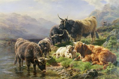 高地牛 作者 William Watson