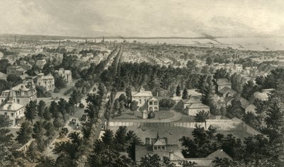 布法罗市》，1872年。   作者 威廉·韦尔斯托德