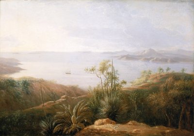 1802 年 1 月，新荷兰（澳大利亚）南海岸的一个海湾，马修-弗林德斯（Matthew Flinders，1774-1814 年）在 1801 至 1803 年间乘坐 "调查者 "号探险，绘制南部土地地图，画家是探险队的一员。 作者 威廉韦斯特尔