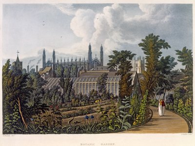 剑桥植物园，来自“剑桥的历史”，由Joseph Constantine Stadler（17,08-1812）雕刻，酒吧。作者：R. Ackermann，1815年（彩色aquatint） 作者 威廉韦斯特尔