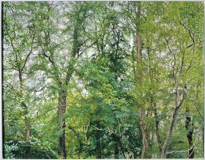 银禧种植园 作者 威廉·威尔金斯