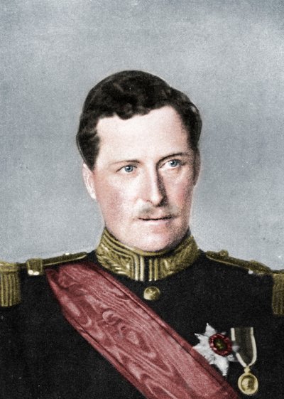 比利时国王阿尔伯特，第一次世界大战，1914年 作者 威廉和丹尼尔唐尼