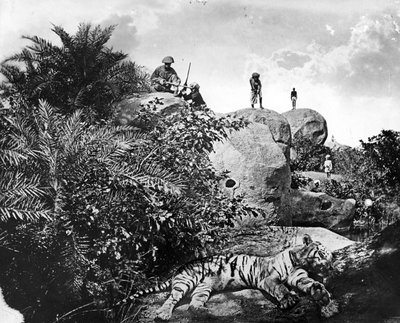 &39;袋装&39; - 印度的老虎狩猎，1870年代 作者 威洛比华莱士胡珀