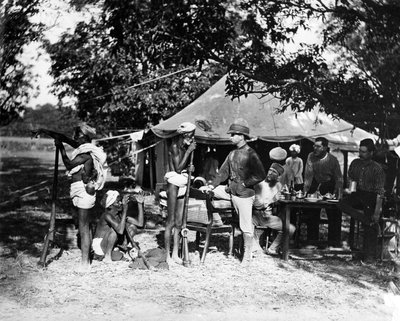 本土Shikaries带来了一只1870年代的老虎新闻 作者 威洛比华莱士胡珀