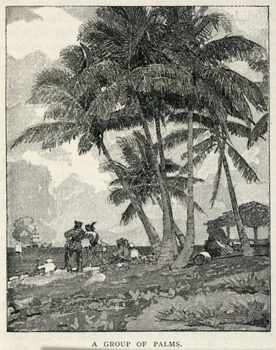 一组棕榈树，摘自《世纪杂志》，1887 年 2 月 作者 温斯洛·荷马