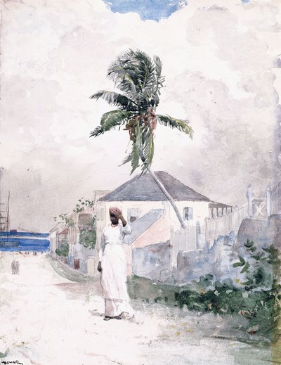 巴哈马沿路，1885年 作者 温斯洛·荷马