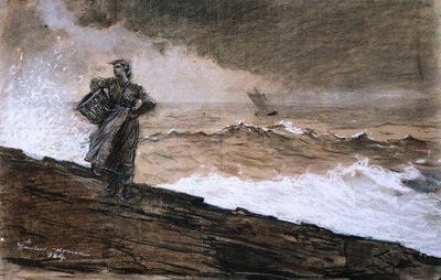 1884年在公海 作者 温斯洛·荷马